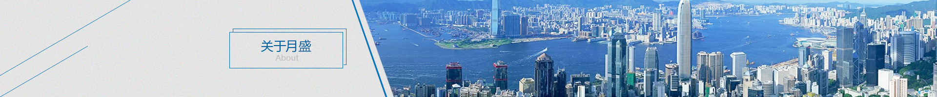 榮譽(yù)資質(zhì)
